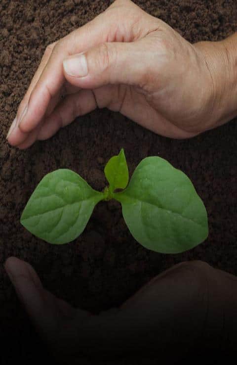 Championing a healthy planet